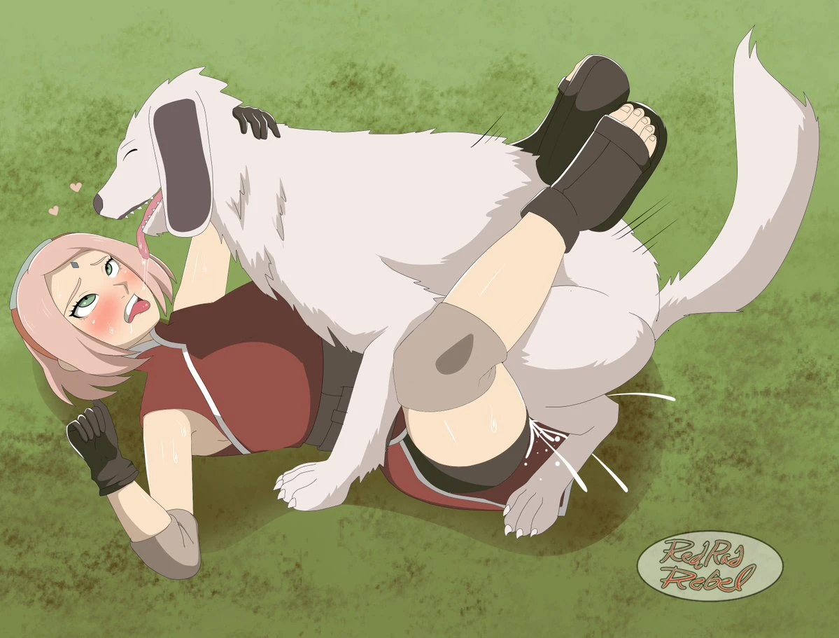 akamaru-narutosakura-haruno